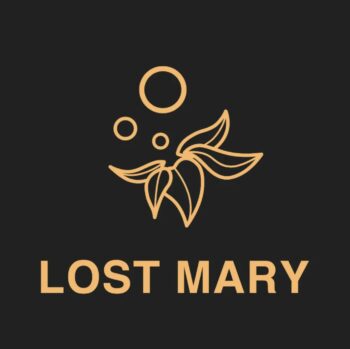 Lost Mary